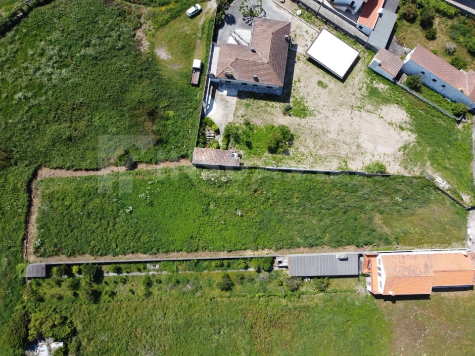 Terreno para Venda em Moledo e Cristelo Foto 4