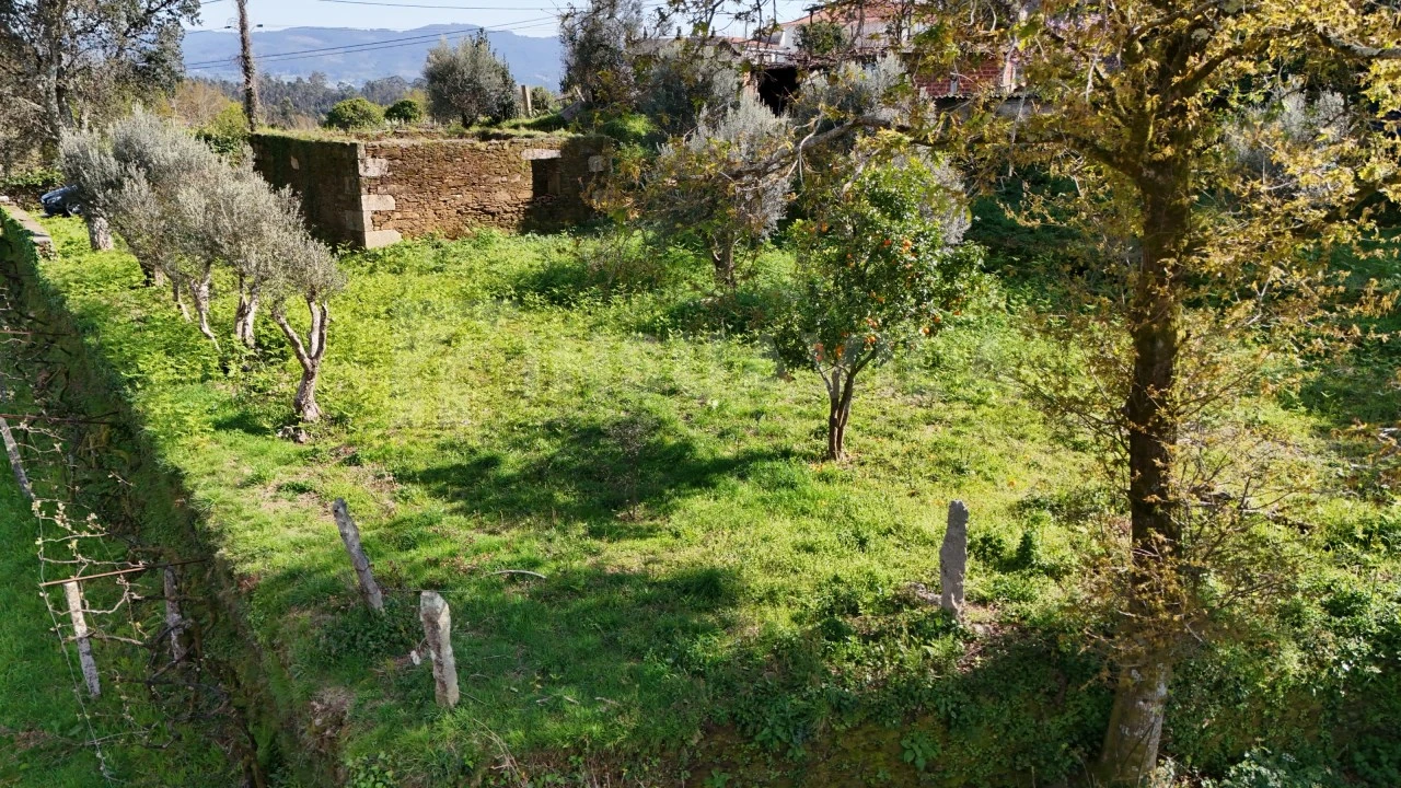 Terreno para Venda em Nogueira, Meixedo e Vilar de Murteda Foto 3