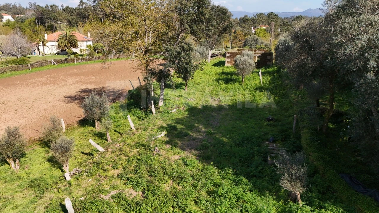 Terreno para Venda em Nogueira, Meixedo e Vilar de Murteda Foto 8