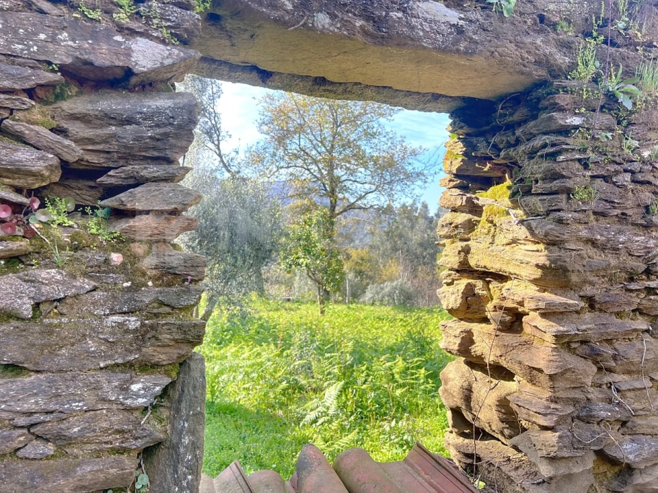 Terreno para Venda em Nogueira, Meixedo e Vilar de Murteda Foto 14