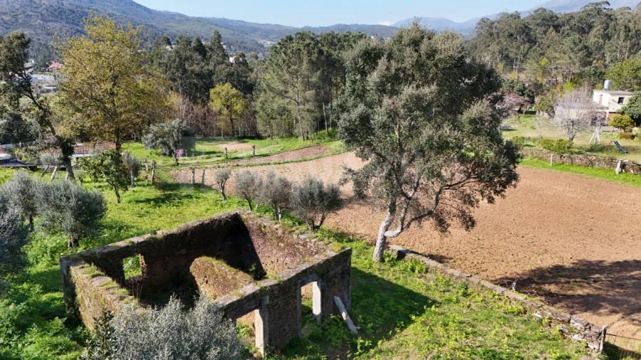 Terreno para Venda em Nogueira, Meixedo e Vilar de Murteda Foto 4