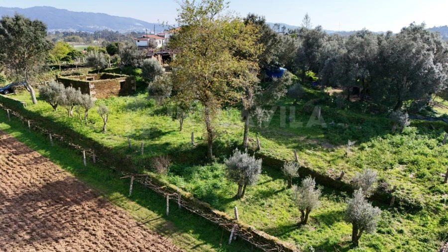 Terreno para Venda em Nogueira, Meixedo e Vilar de Murteda Foto 6