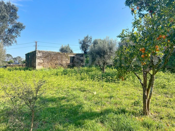 Terreno para Venda em Nogueira, Meixedo e Vilar de Murteda Foto 17