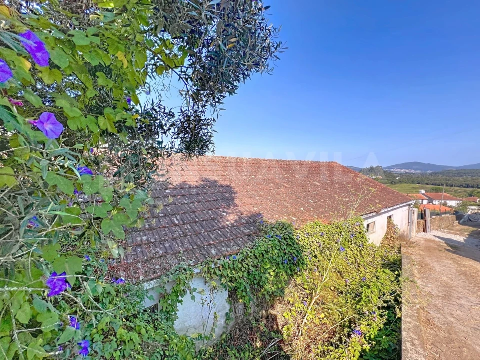 Moradia T3 para Venda em Venade e Azevedo Foto 20