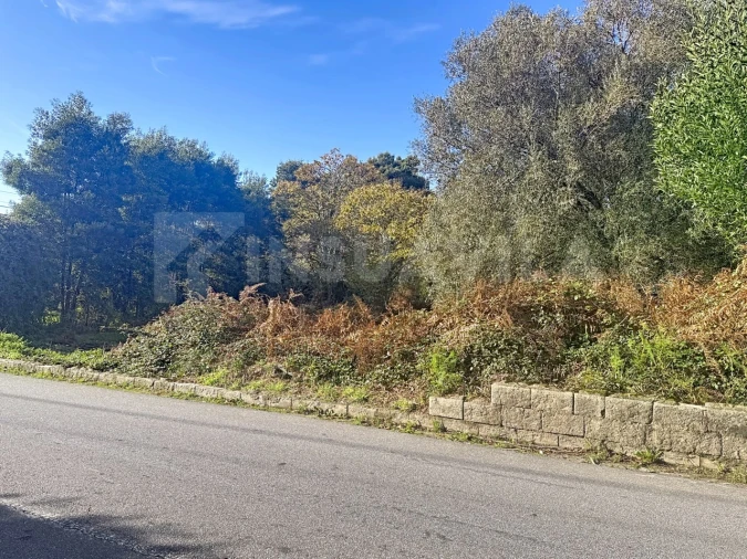 Terreno para Venda em Argela Foto 6