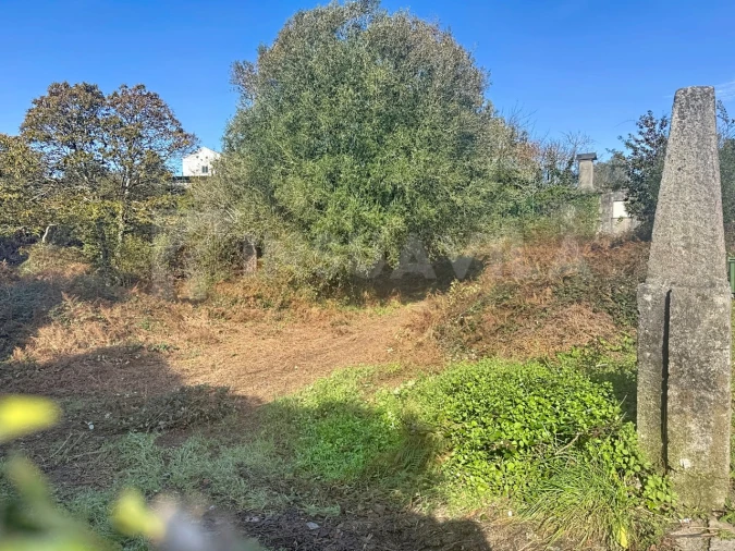 Terreno para Venda em Argela Foto 10