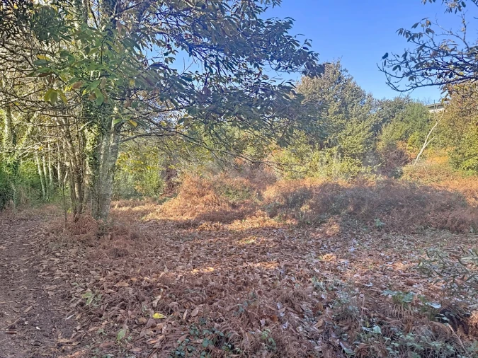 Terreno para Venda em Argela Foto 13