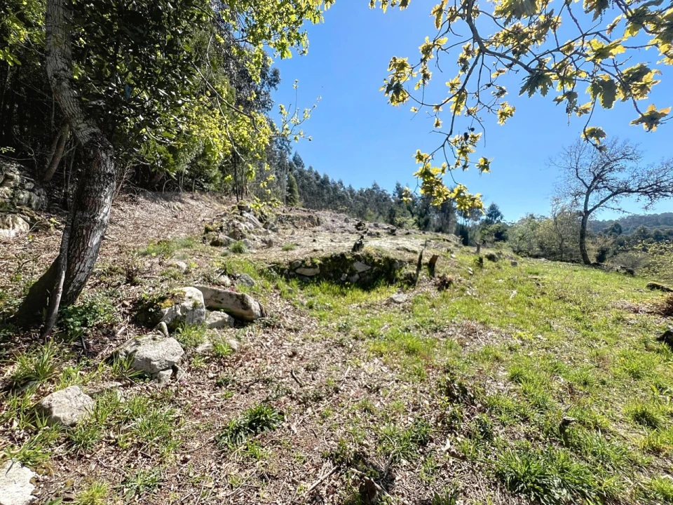 Terreno para Venda em Moledo e Cristelo Foto 8