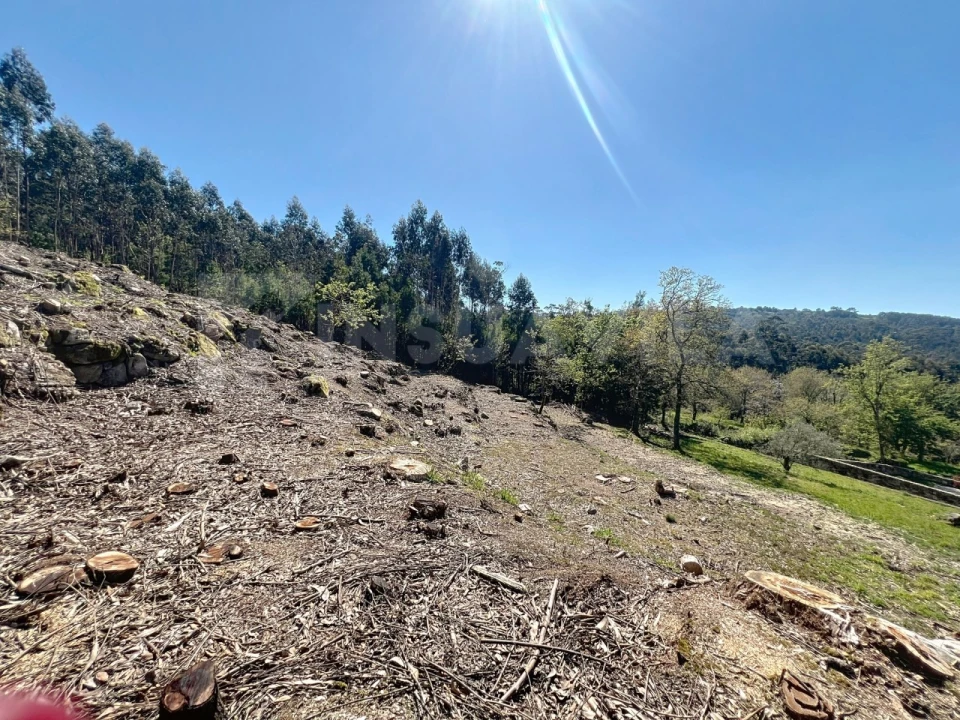 Terreno para Venda em Moledo e Cristelo Foto 12
