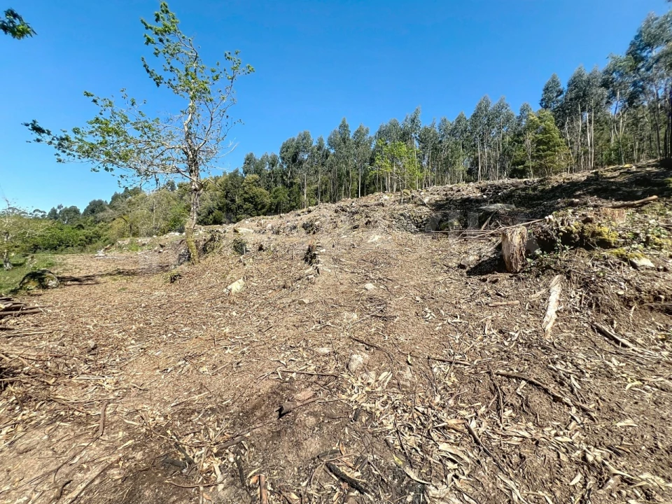 Terreno para Venda em Moledo e Cristelo Foto 16