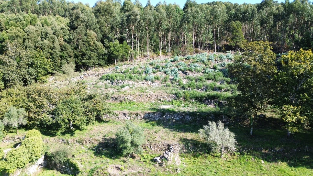 Terreno para Venda em Moledo e Cristelo Foto 5