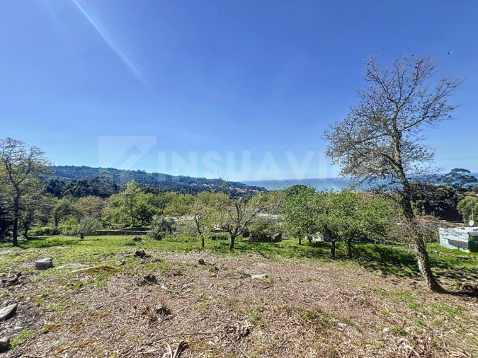 Terreno para Venda em Moledo e Cristelo Foto 10