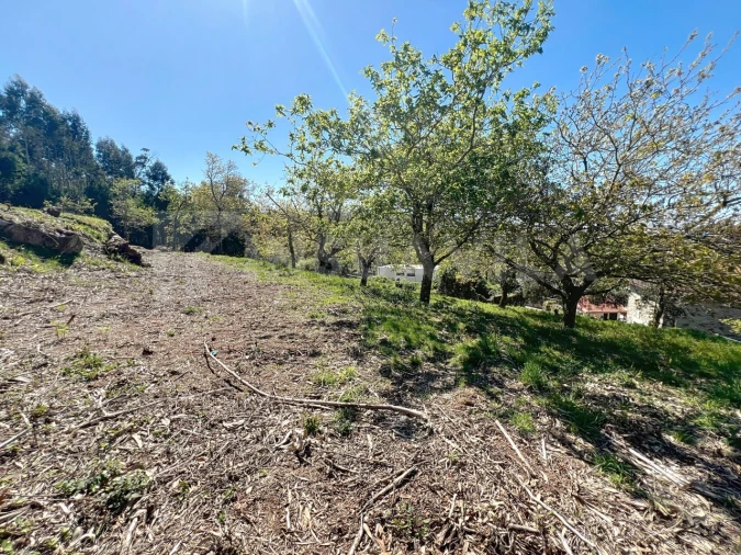 Terreno para Venda em Moledo e Cristelo Foto 14