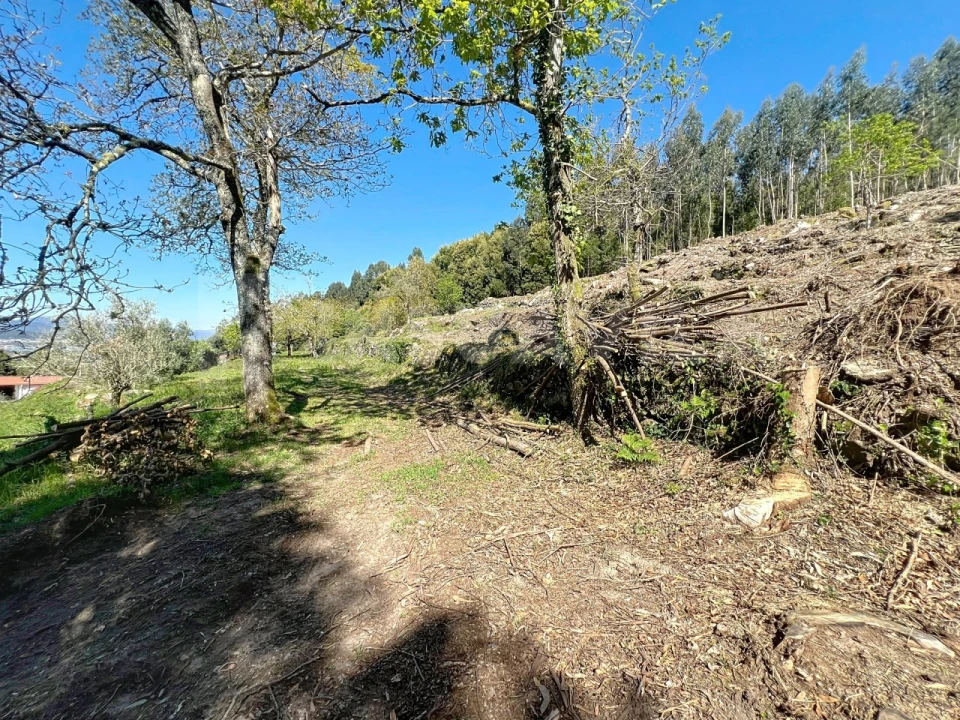 Terreno para Venda em Moledo e Cristelo Foto 7