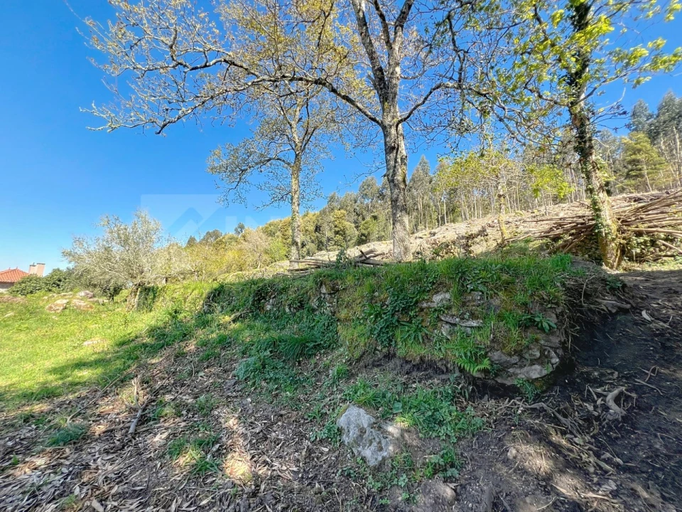Terreno para Venda em Moledo e Cristelo Foto 9