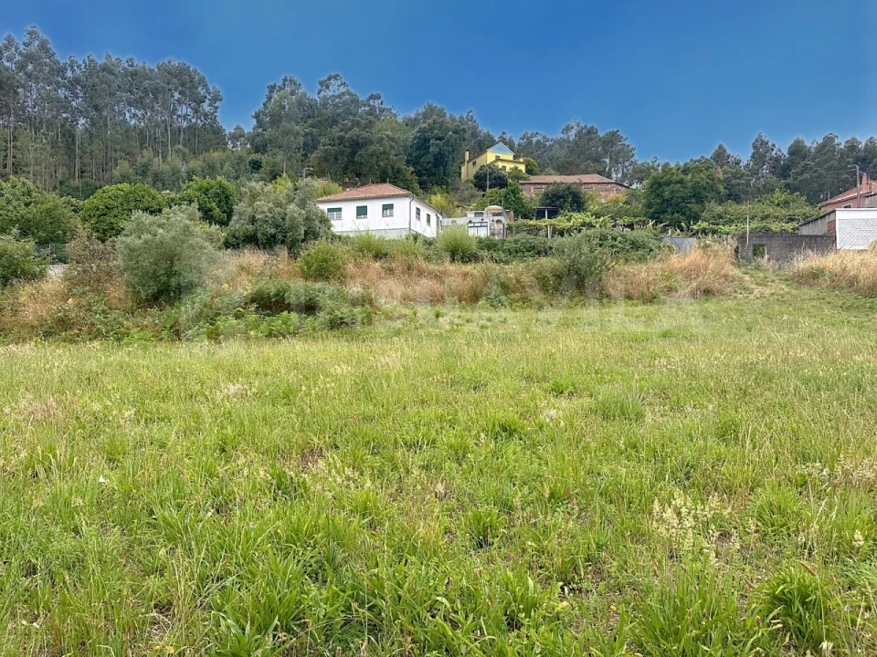 Terreno para Venda em Caminha (Matriz) e Vilarelho Foto 11