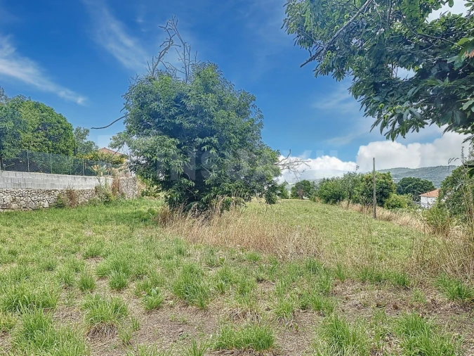 Terreno para Venda em Caminha (Matriz) e Vilarelho Foto 15
