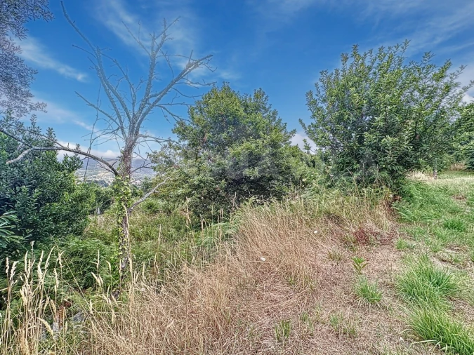 Terreno para Venda em Caminha (Matriz) e Vilarelho Foto 20
