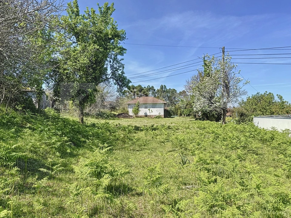 Moradia T2 para Venda em Caminha (Matriz) e Vilarelho Foto 29