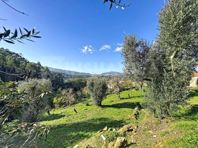 Moradia T8 para Venda em Argela Foto 9