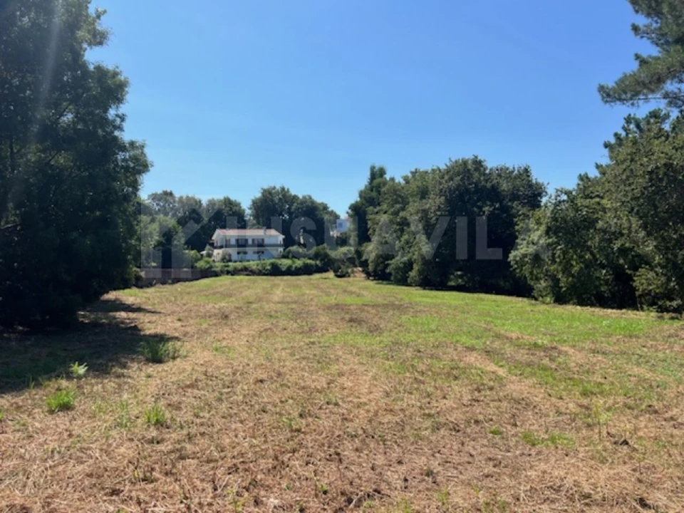 Terreno para Venda em Seixas Foto 18