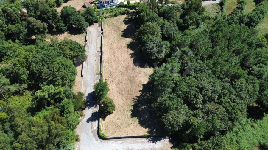 Terreno para Venda em Seixas Foto 5