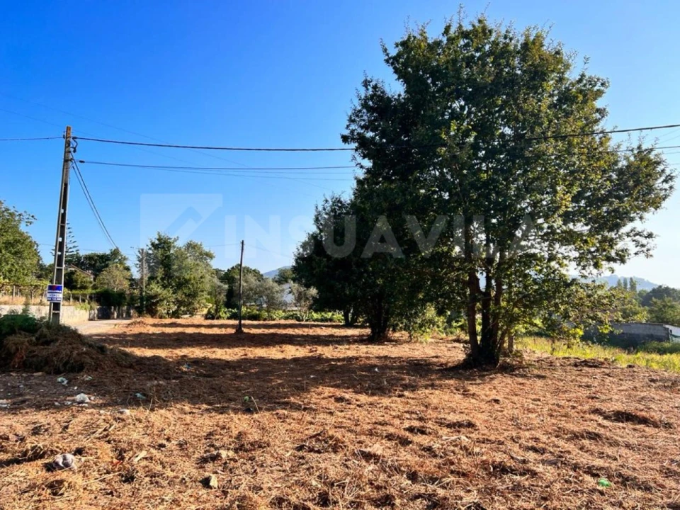 Terreno para Venda em Seixas Foto 8