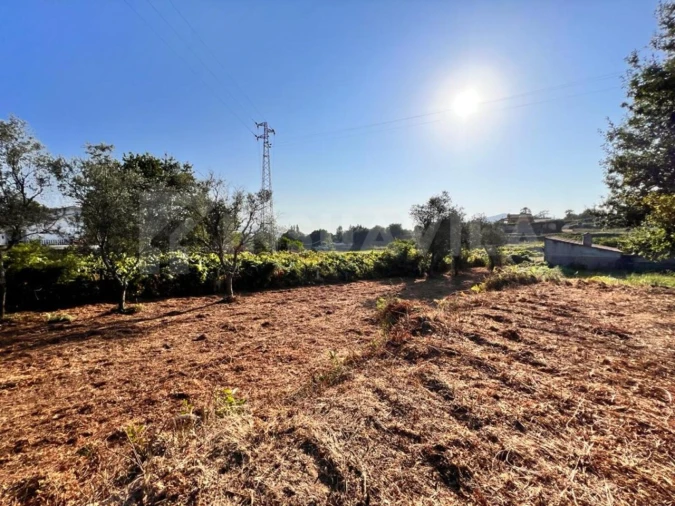 Terreno para Venda em Seixas Foto 16