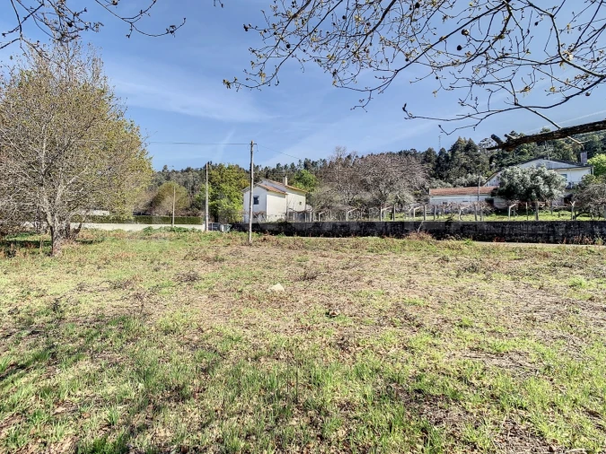 Terreno para Venda em Seixas Foto 18