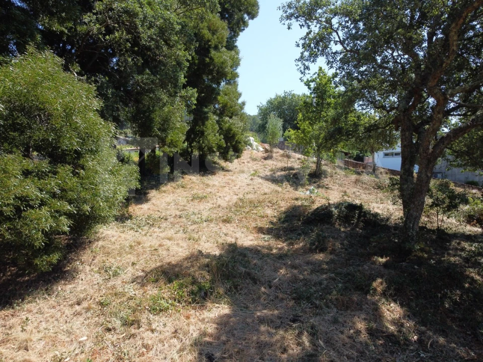 Terreno para Venda em Moledo e Cristelo Foto 8