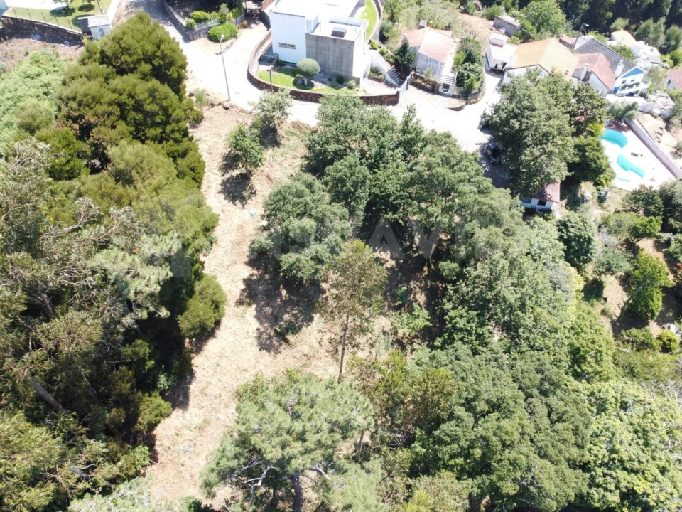Terreno para Venda em Moledo e Cristelo Foto 12