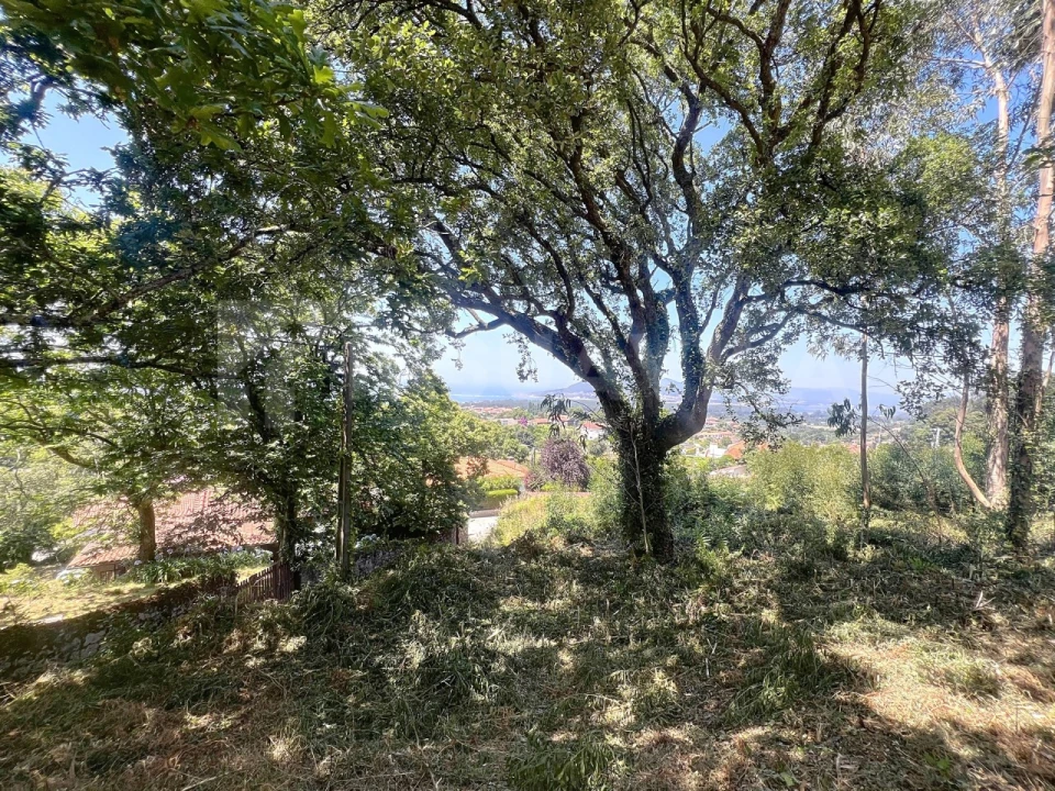 Terreno para Venda em Moledo e Cristelo Foto 13