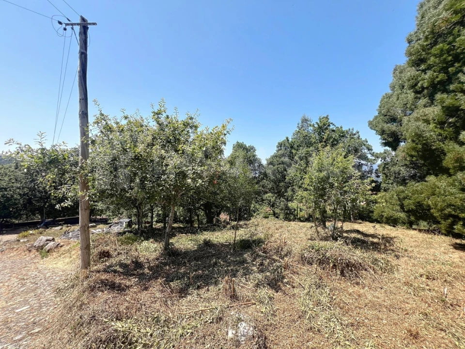 Terreno para Venda em Moledo e Cristelo Foto 7