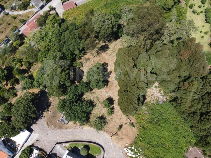 Terreno para Venda em Moledo e Cristelo Foto 9