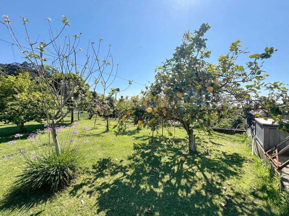 Moradia T11 para Venda em Moledo e Cristelo Foto 73