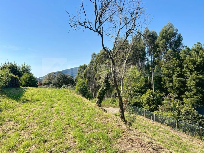 Terreno para Venda em Moledo e Cristelo Foto 5