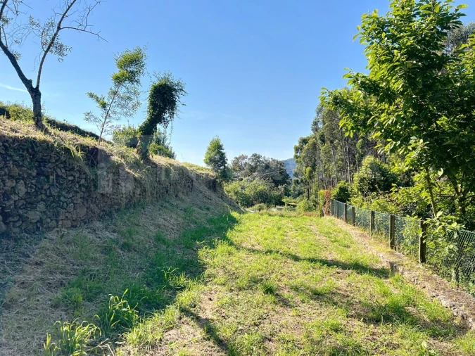 Terreno para Venda em Moledo e Cristelo Foto 6