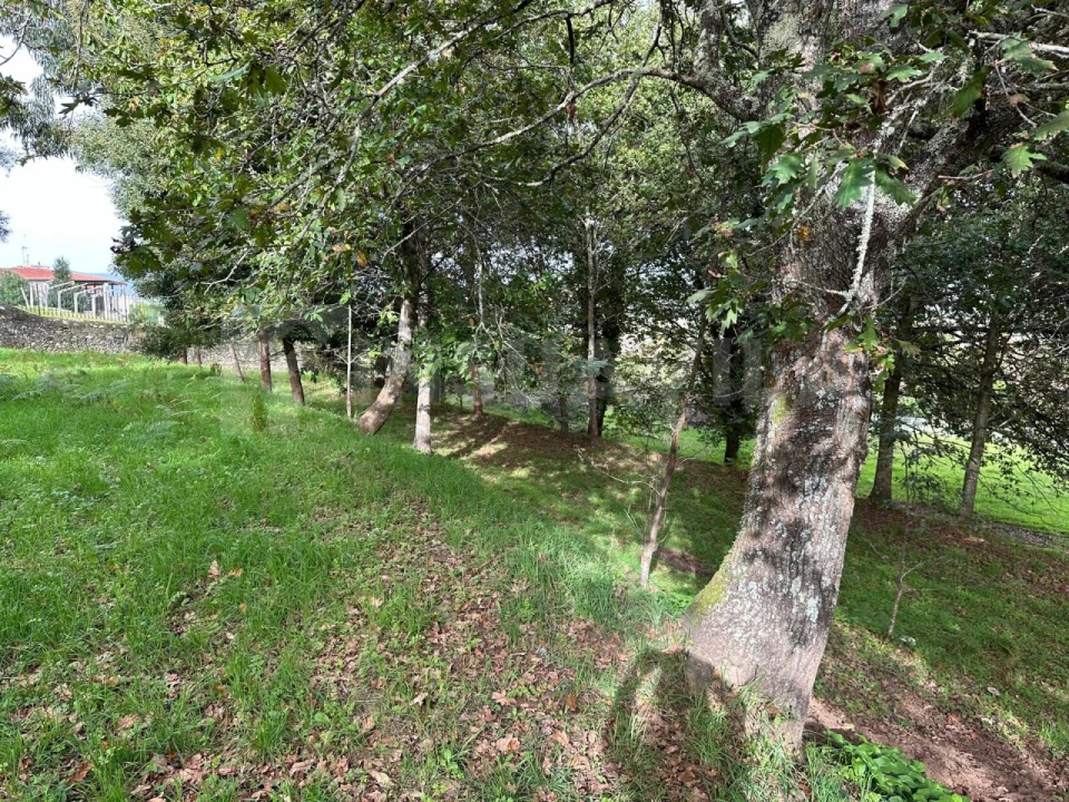 Terreno para Venda em Caminha (Matriz) e Vilarelho Foto 9