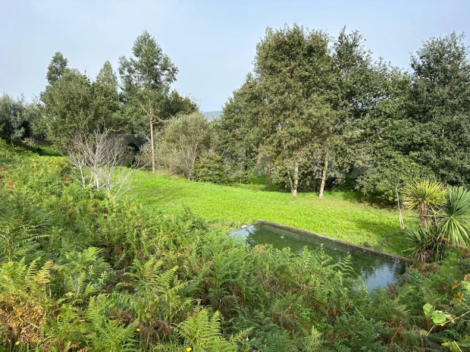 Terreno para Venda em Caminha (Matriz) e Vilarelho Foto 16