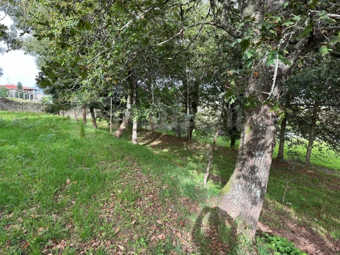 Terreno para Venda em Caminha (Matriz) e Vilarelho Foto 9