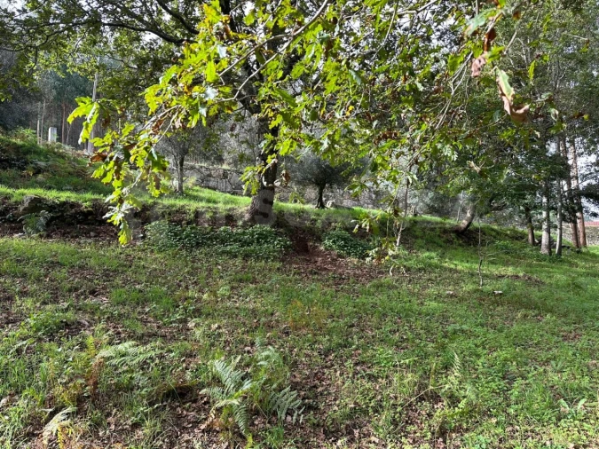 Terreno para Venda em Caminha (Matriz) e Vilarelho Foto 18
