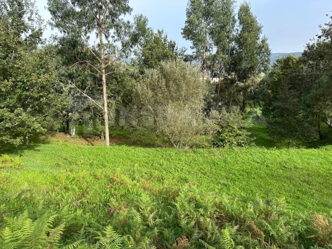 Terreno para Venda em Caminha (Matriz) e Vilarelho Foto 20