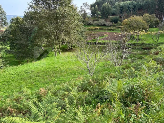Terreno para Venda em Caminha (Matriz) e Vilarelho Foto 21