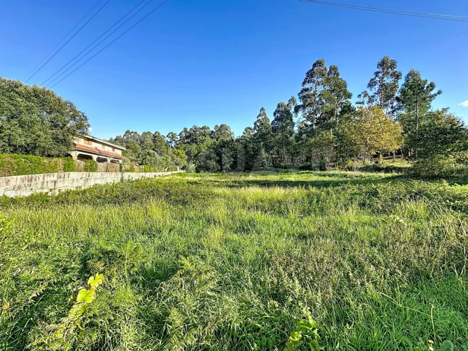 Terreno para Venda em Ganfei Foto 8