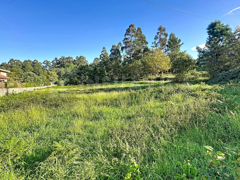 Terreno para Venda em Ganfei Foto 9