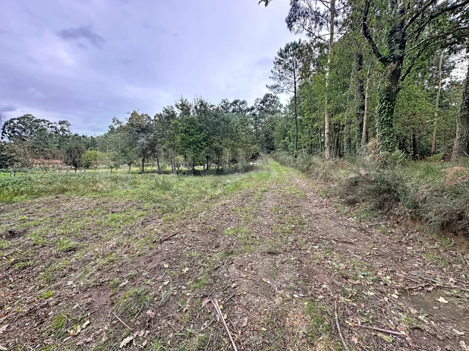 Terreno para Venda em Ganfei Foto 10