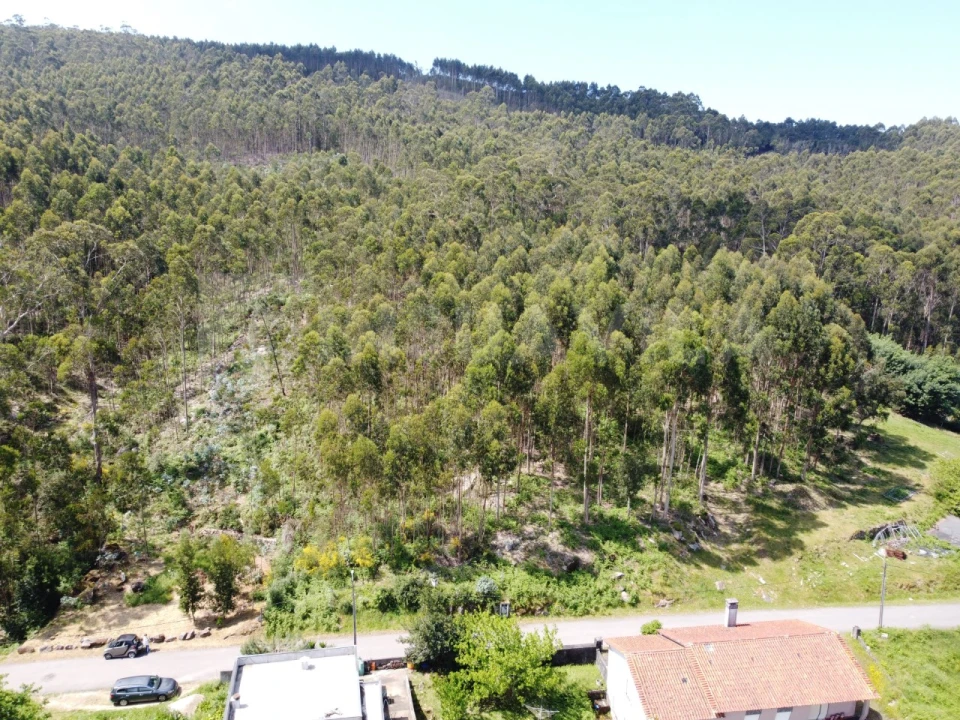 Terreno para Venda em Caminha (Matriz) e Vilarelho Foto 5
