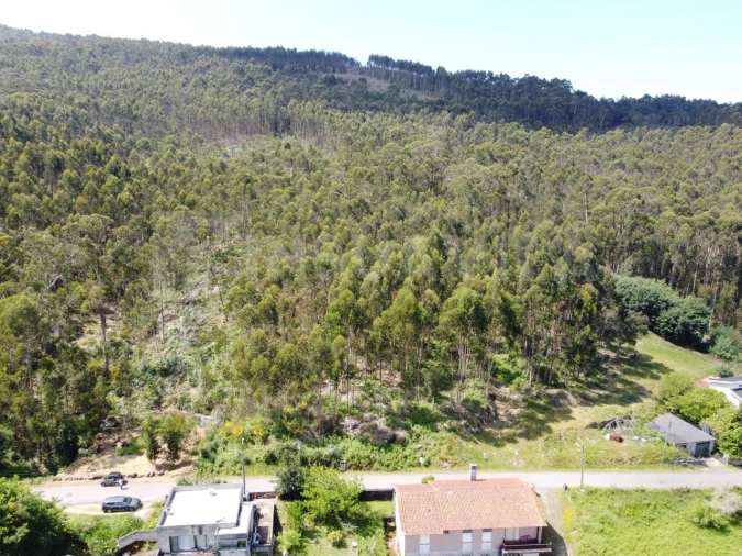 Terreno para Venda em Caminha (Matriz) e Vilarelho Foto 4
