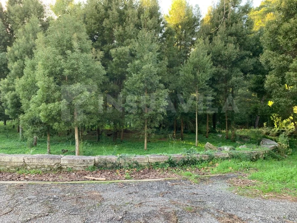 Terreno para Venda em Caminha (Matriz) e Vilarelho Foto 7