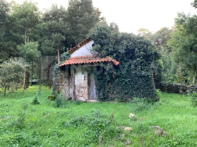 Terreno para Venda em Caminha (Matriz) e Vilarelho